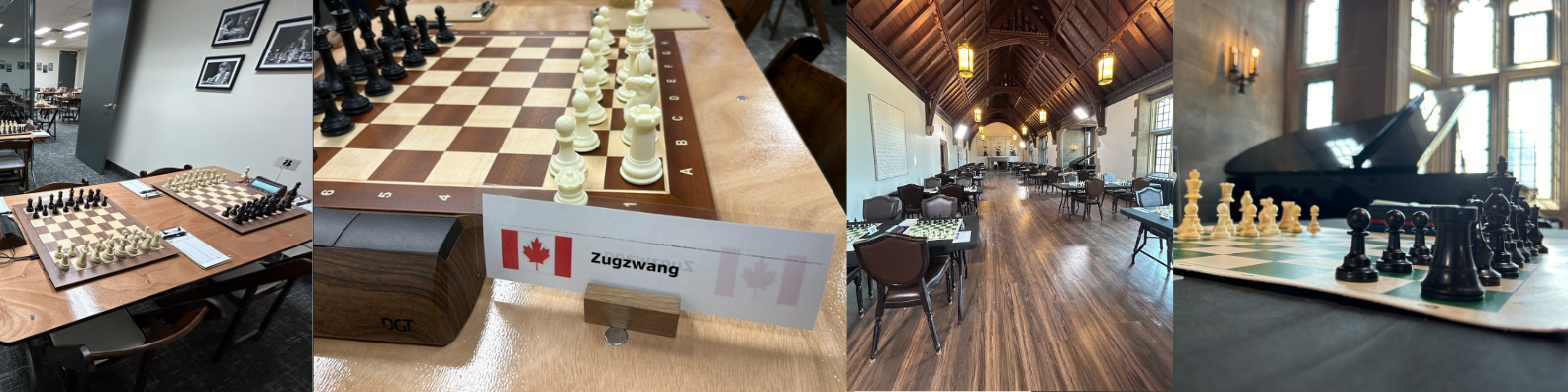 Zugzwang Chess Club Banner
